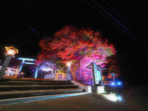 猪苗代町＂土津神社“