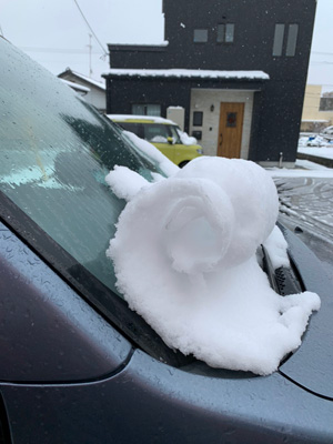 ロールケーキのような雪