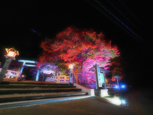 猪苗代町"土津神社“
